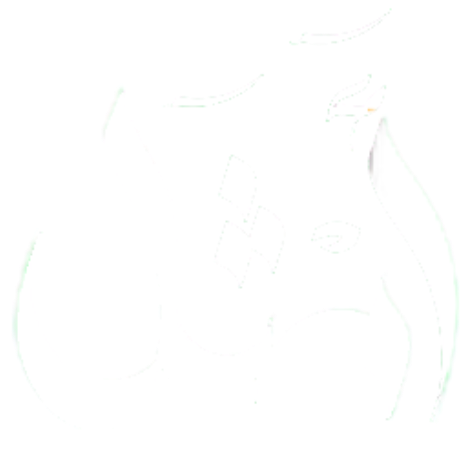 footer logo