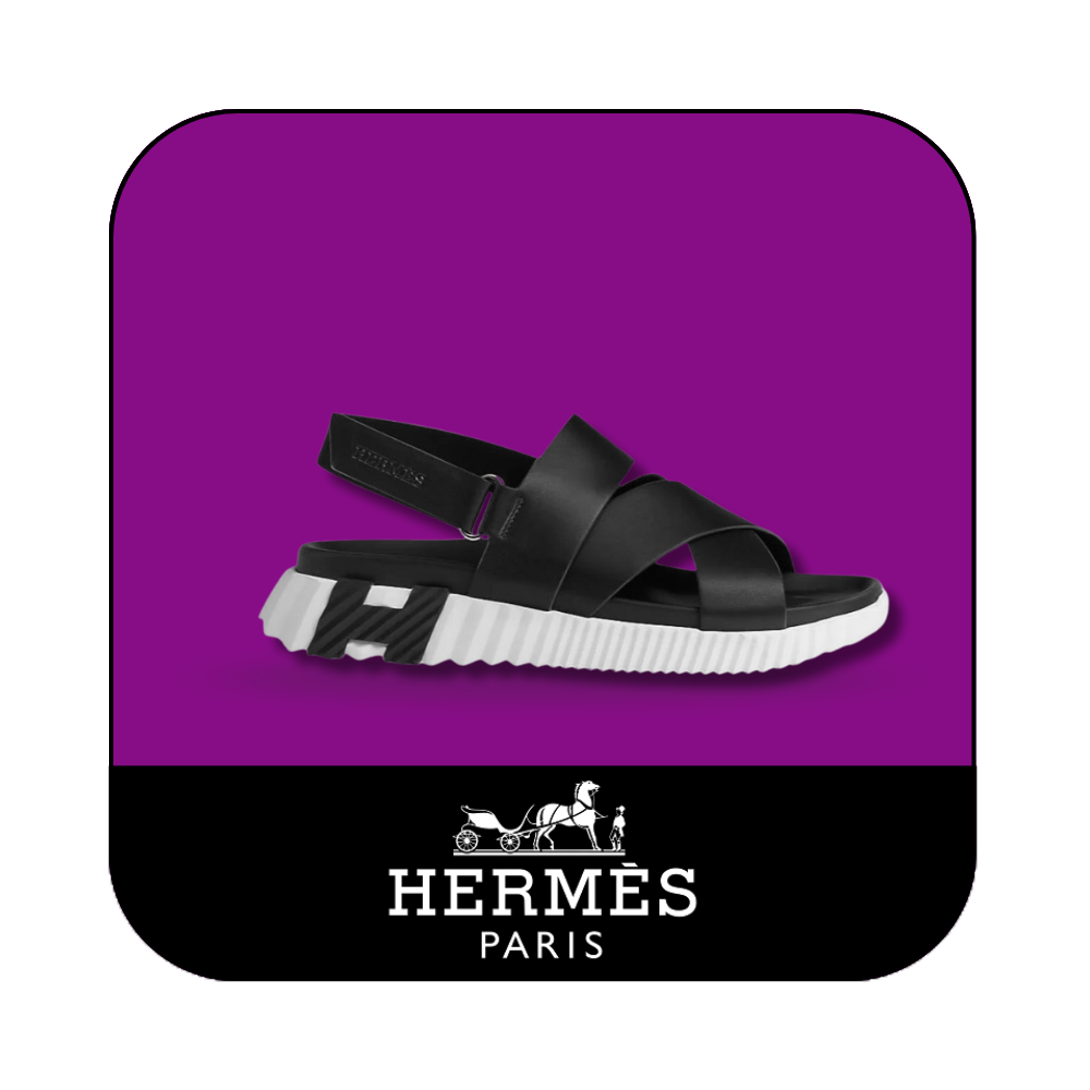 هيرميز HERMES
