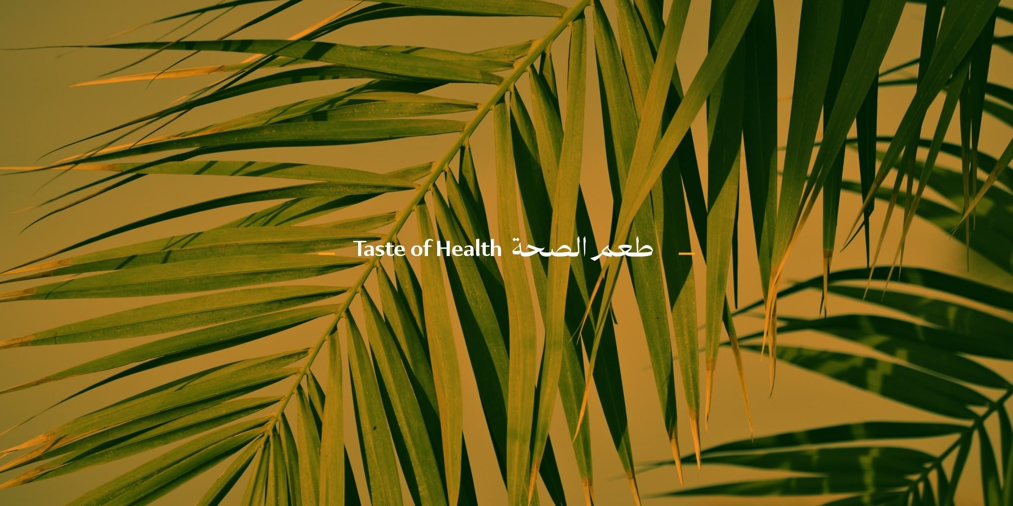 متجر عجوة المدينة