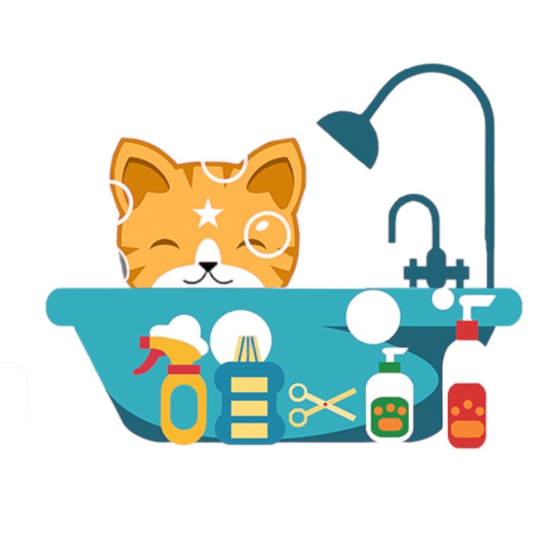 الصحـة و الجمـال و التنـظـيف