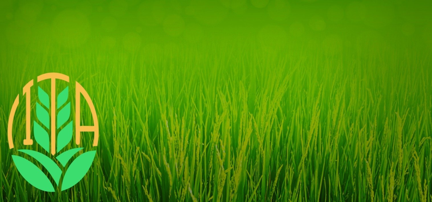 مؤسسة اتاء العربية الزراعية