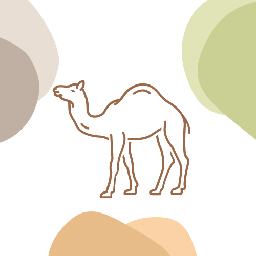 قسم الحاشي-