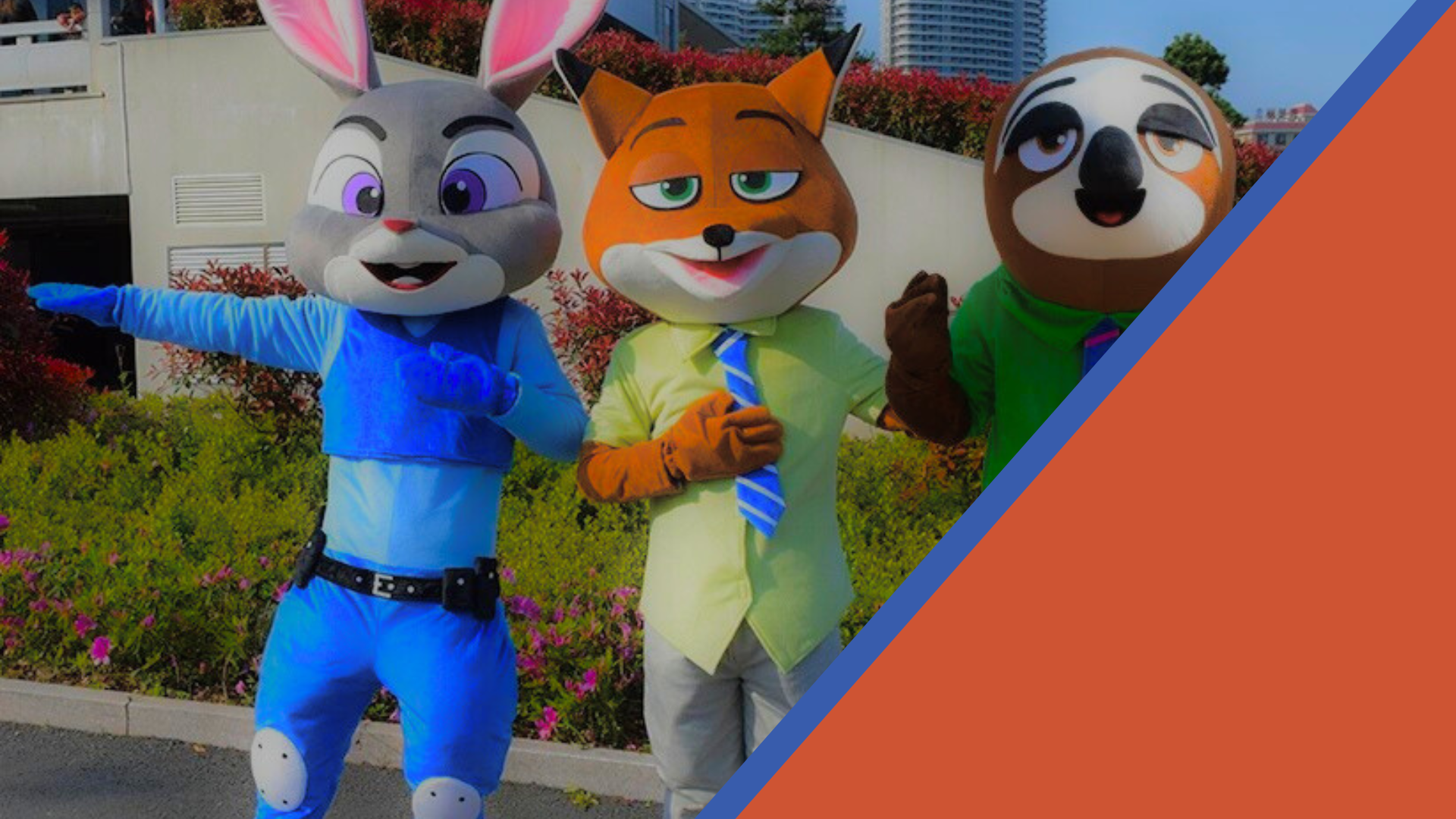 Special products slider