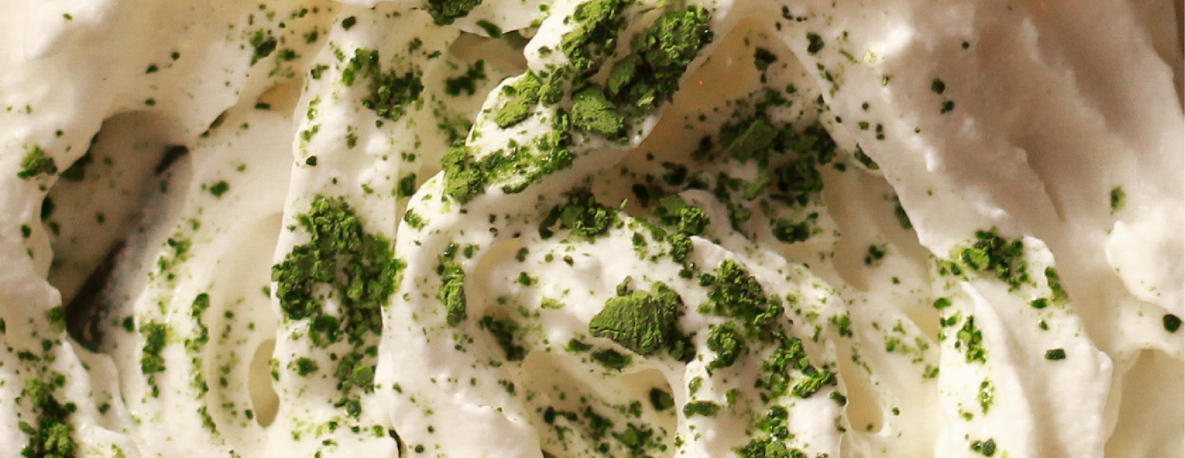 the matcha shell image-slider-1