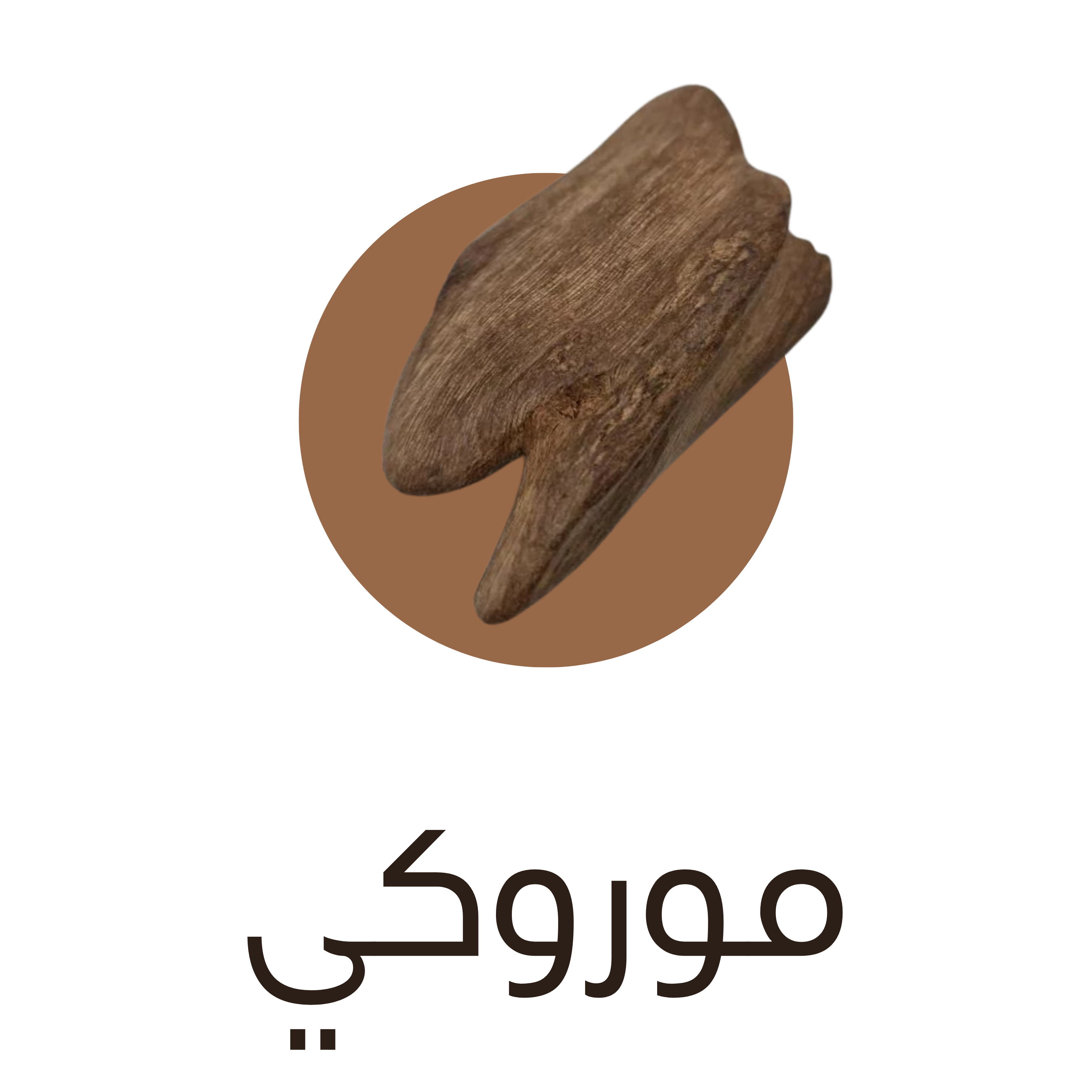 بانر ترويجي