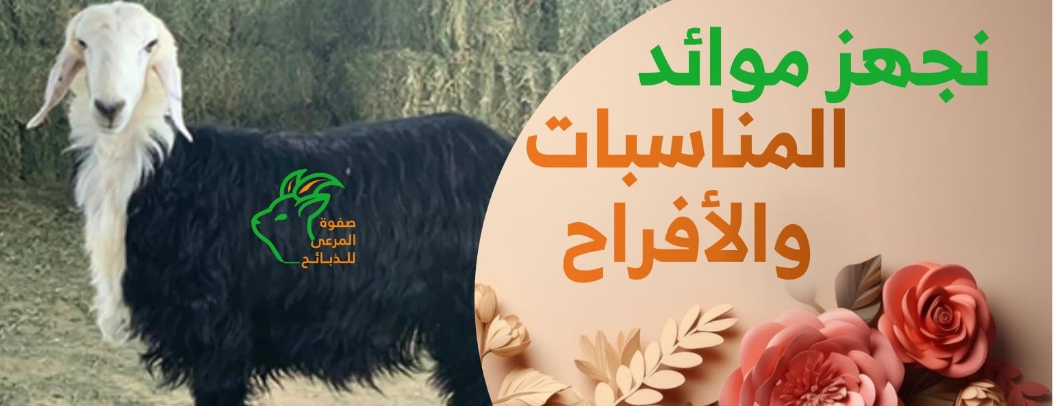 صفوة المرعى للذبائح image-slider-2
