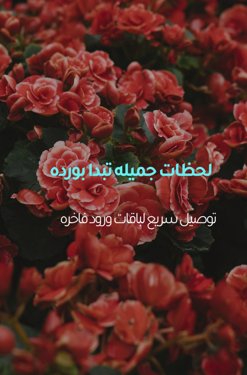 لحظات جميله