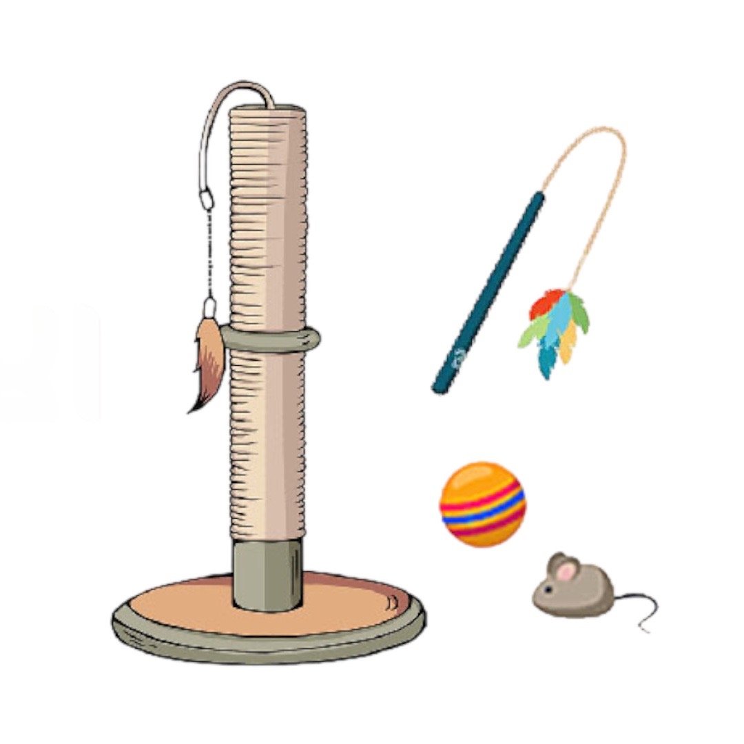 الالعــــــاب القـــطط