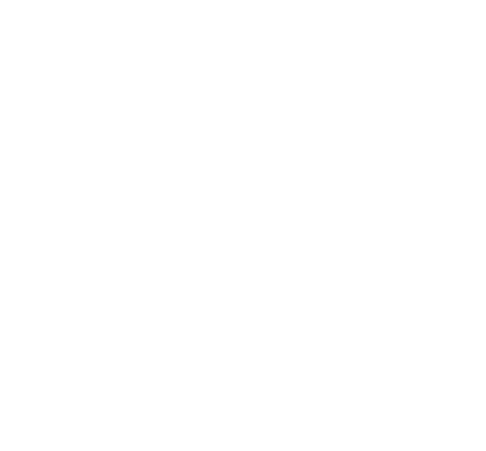 Dark Store
