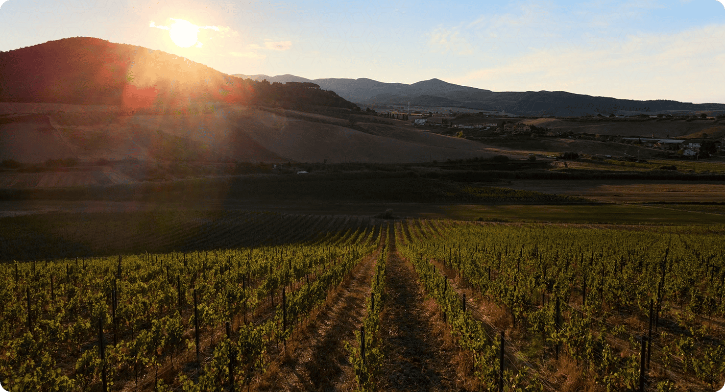 تبدأ الرحلة قبل الكأس.