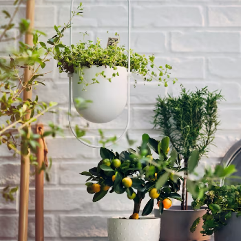 الأماكن الخارجية