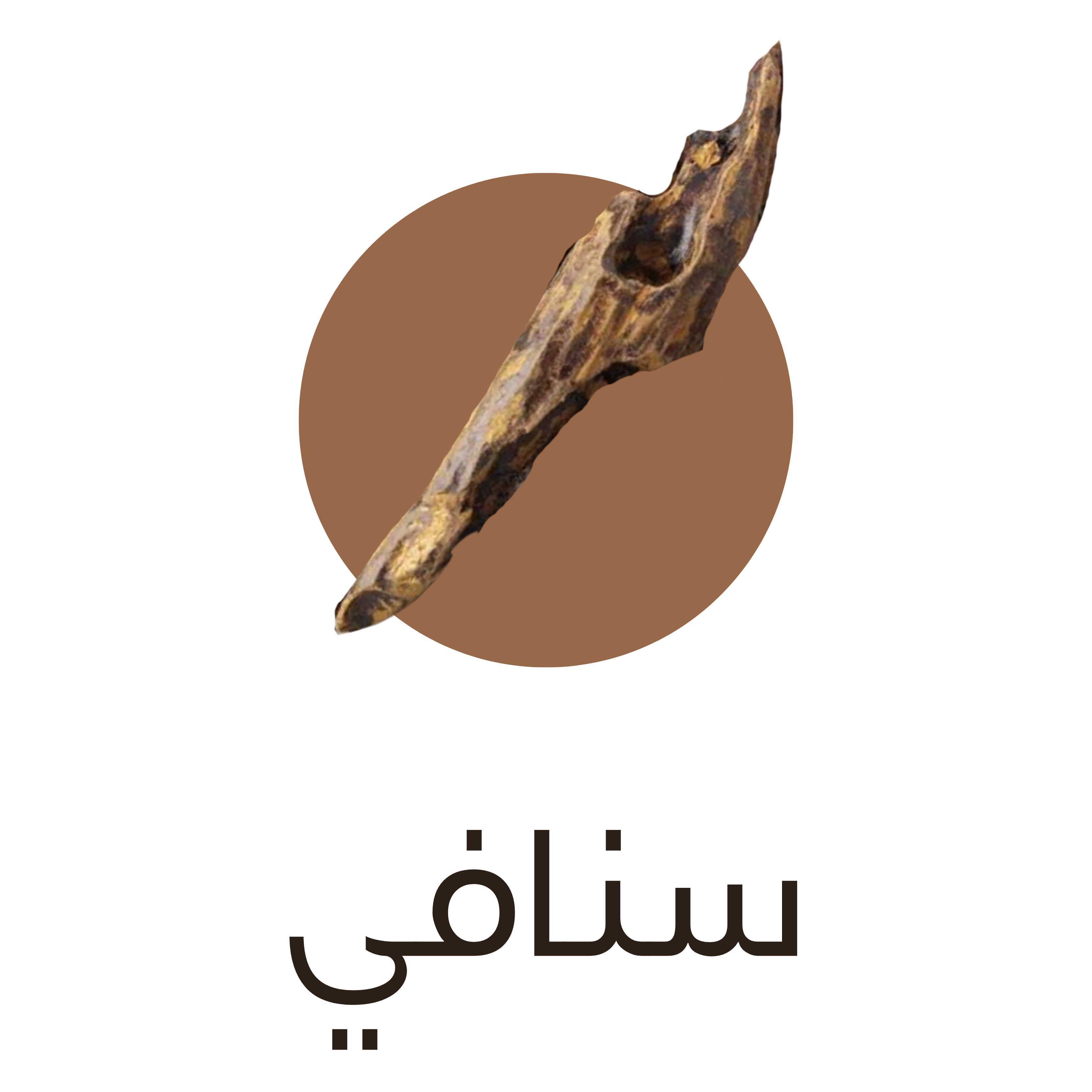 بانر ترويجي