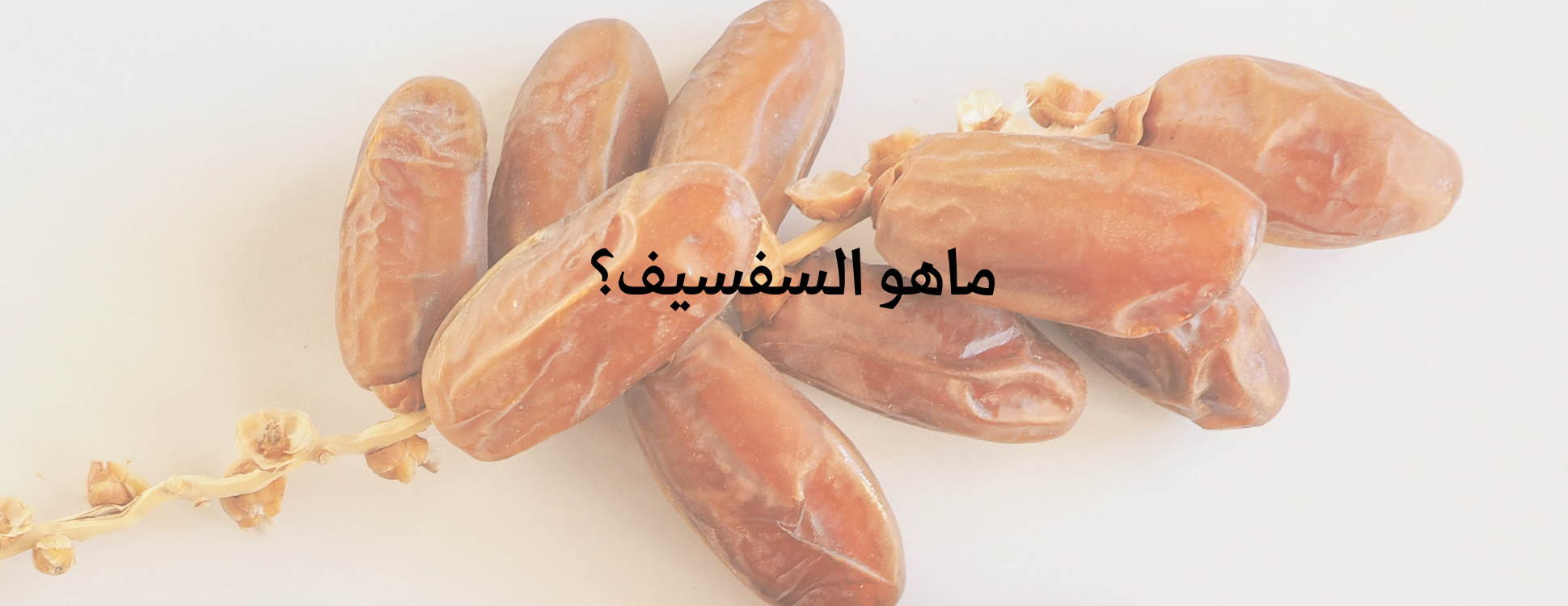 متجر سفسيف image-slider-0