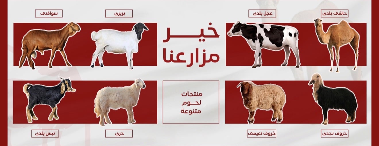 ابو خالد للذبائح image-slider-1
