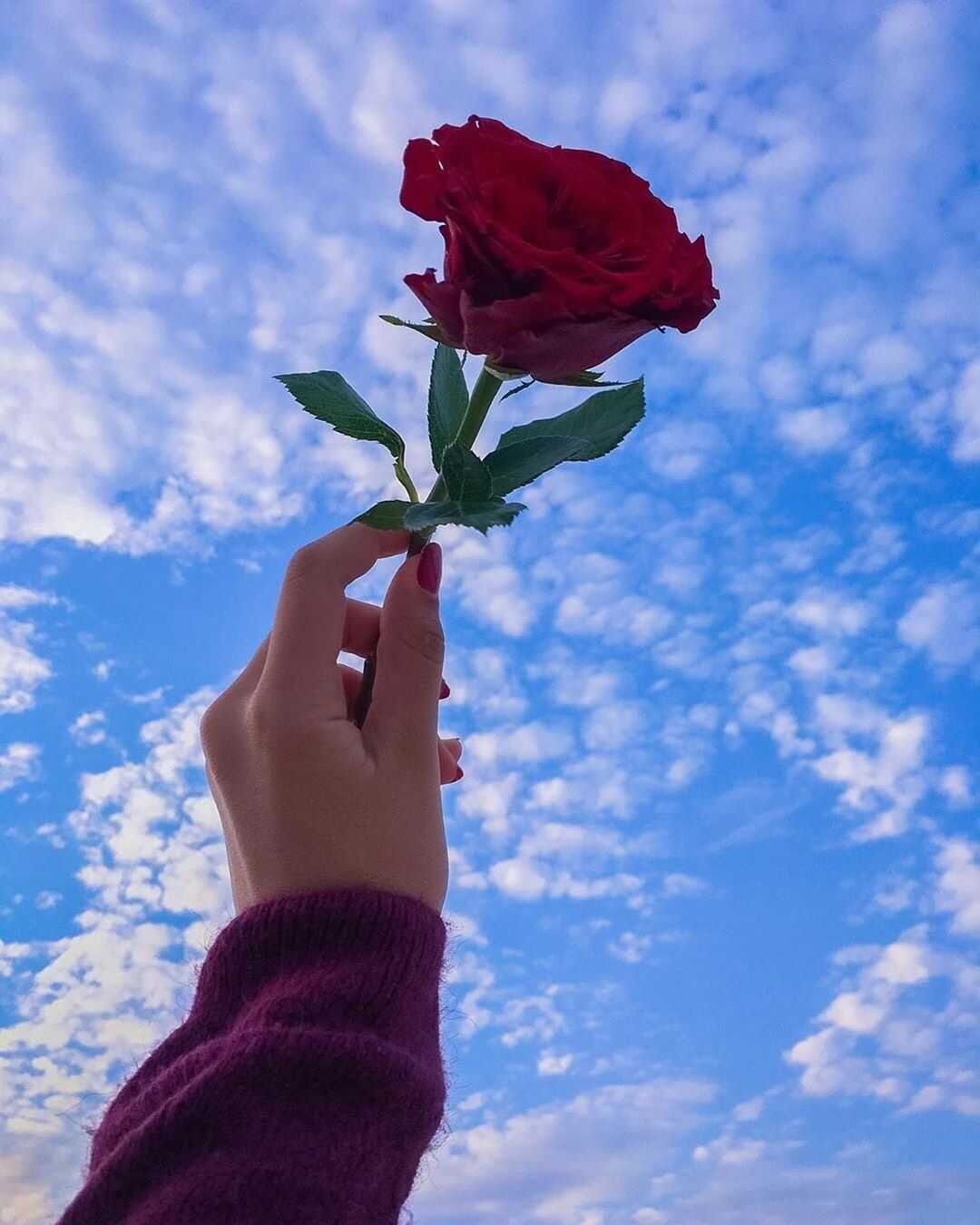 منال الابراهيم