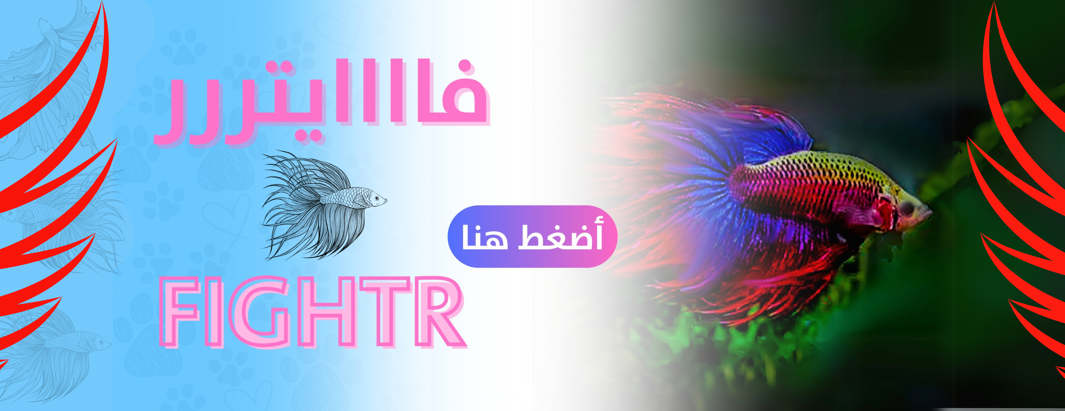 ميو ميو image-slider-0