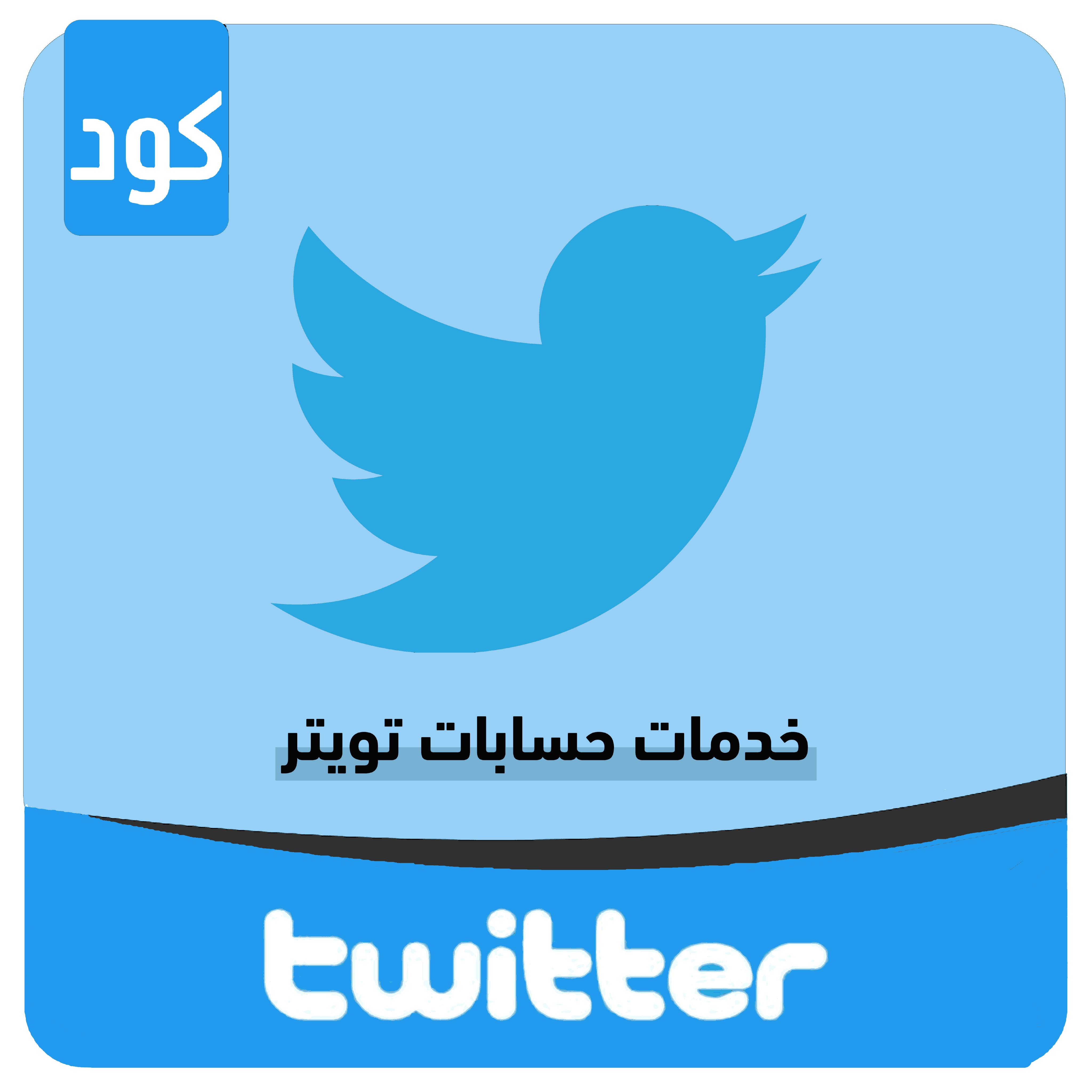 TWITTER ACCOUNTS SERVICES image