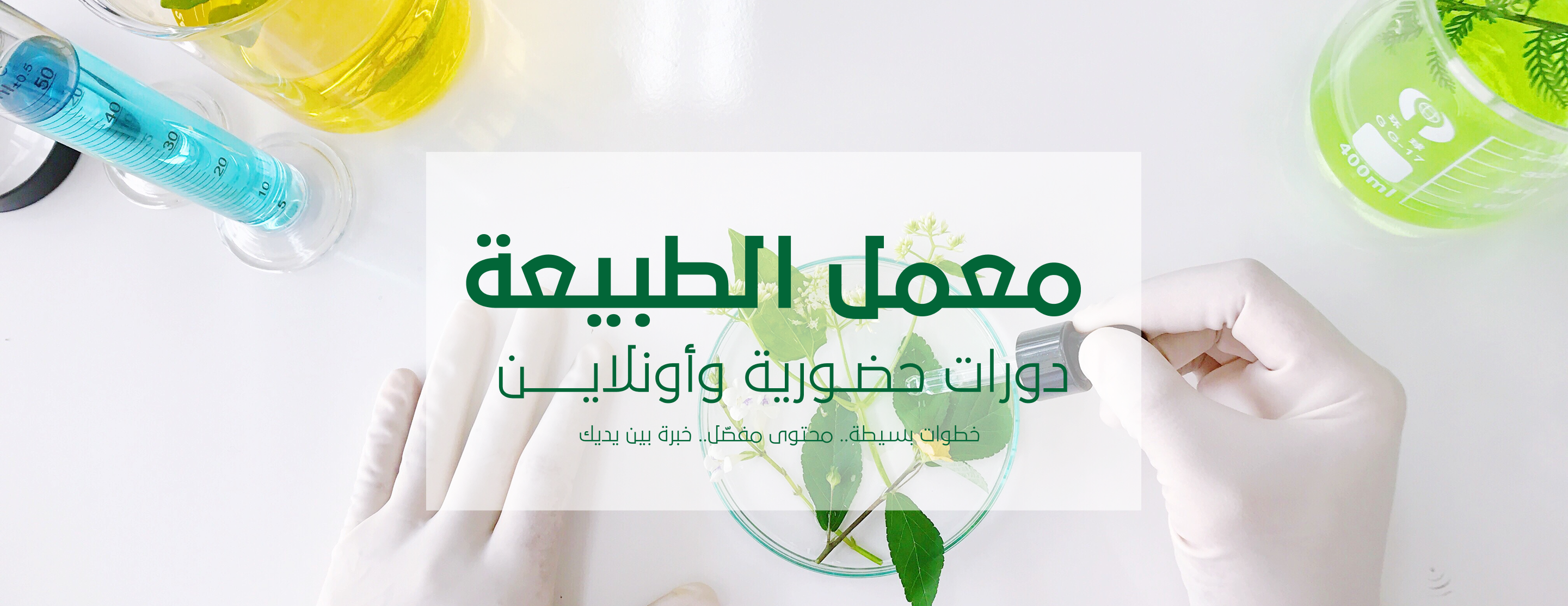 صورة من المعرض