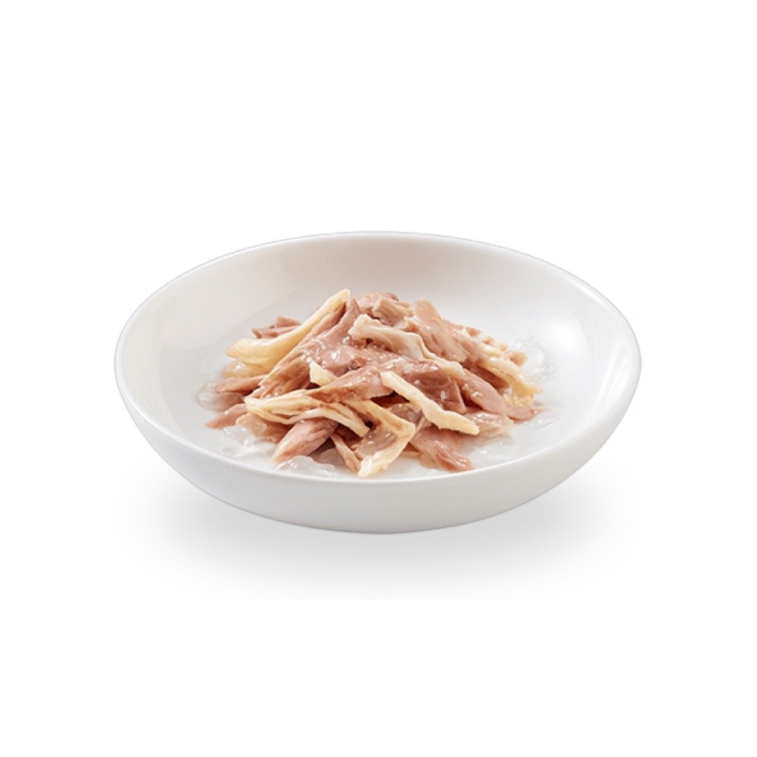 منتجات الطــــعـــام الـرطـــــب