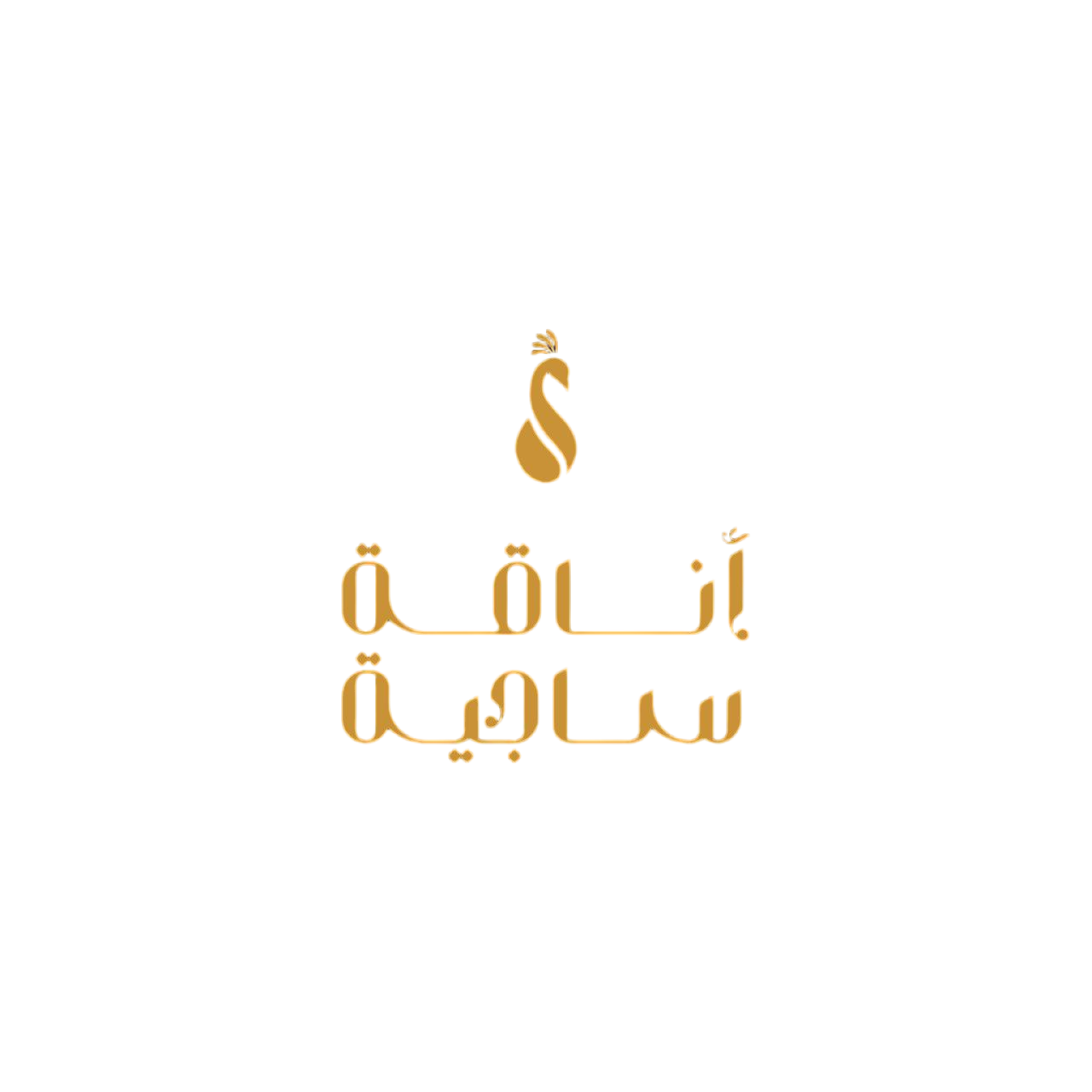 store loader أناقة ساجية