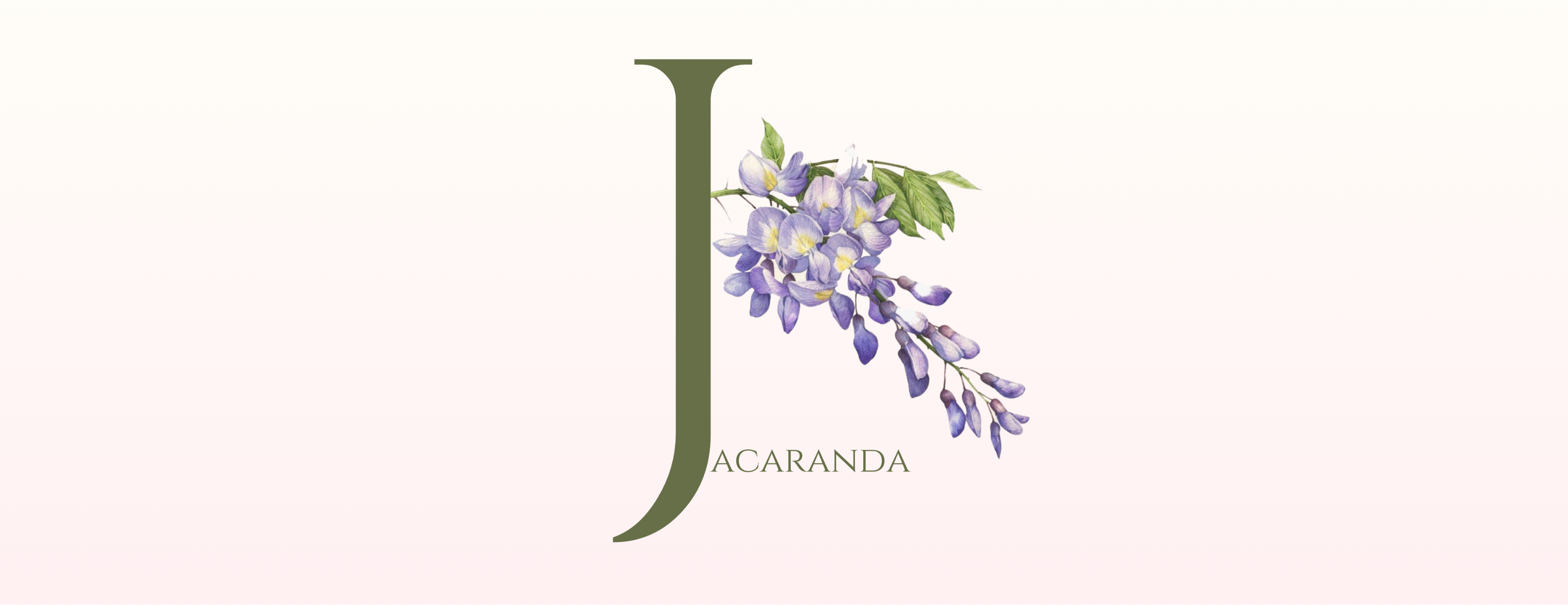 JACARANDA image-slider-0