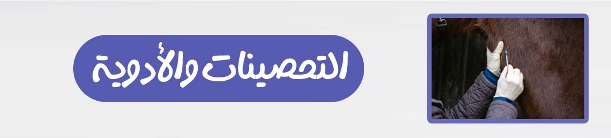 fixed banner