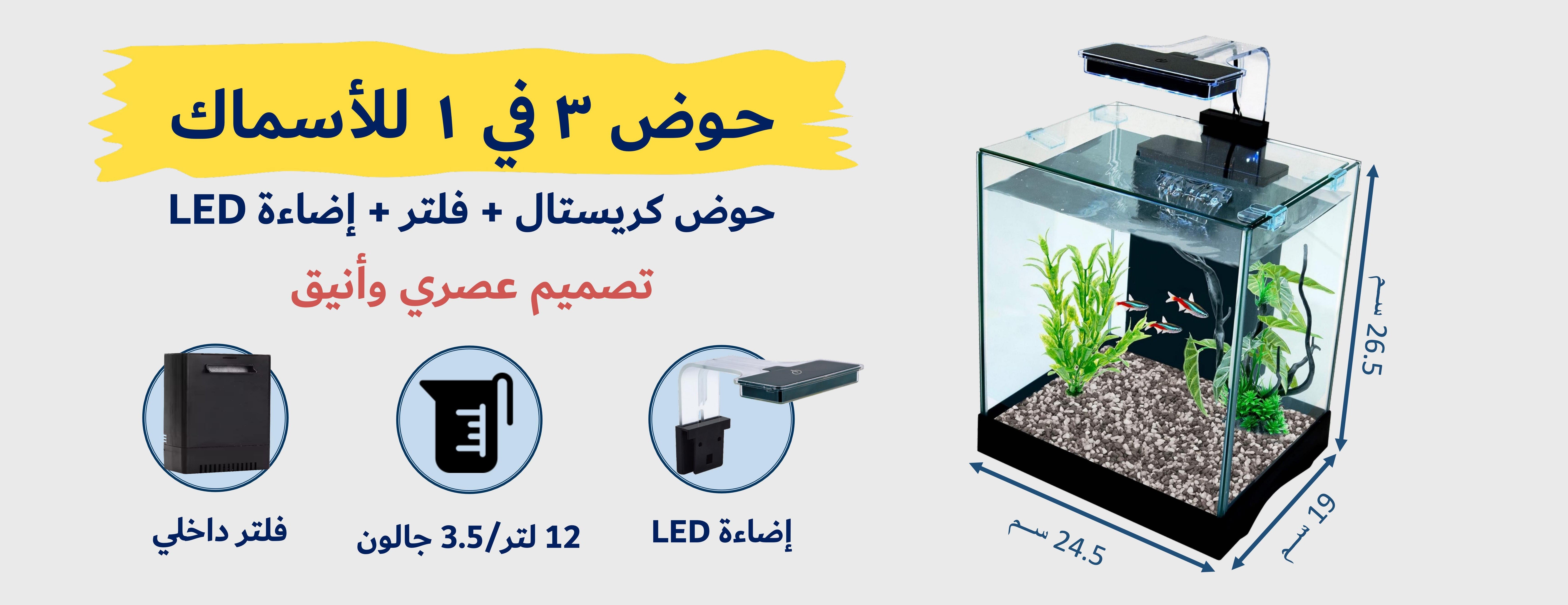 Elite Beautiful Life image-slider-3