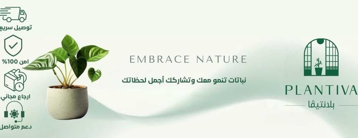 بلانتيفا | PLANTIVA image-slider-0