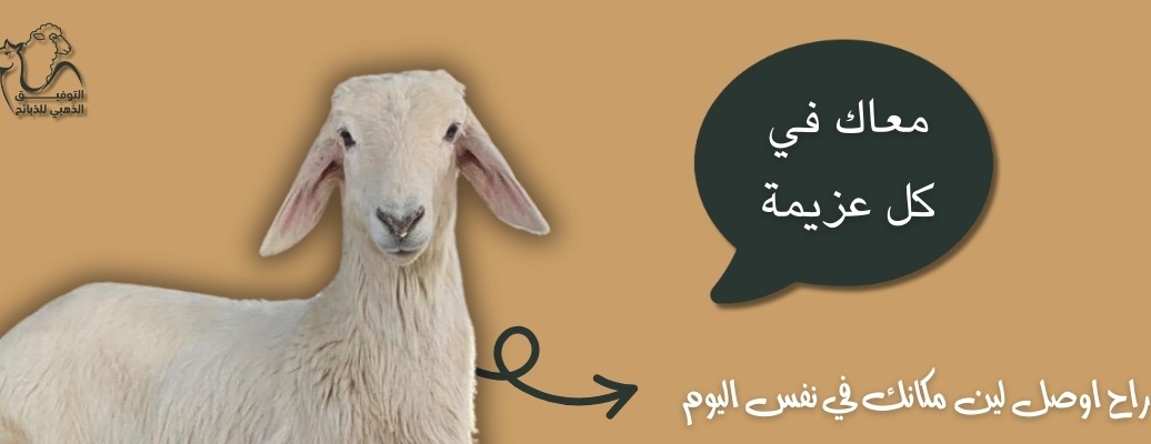 ضلع الحجاز للذبائح البرية image-slider-2