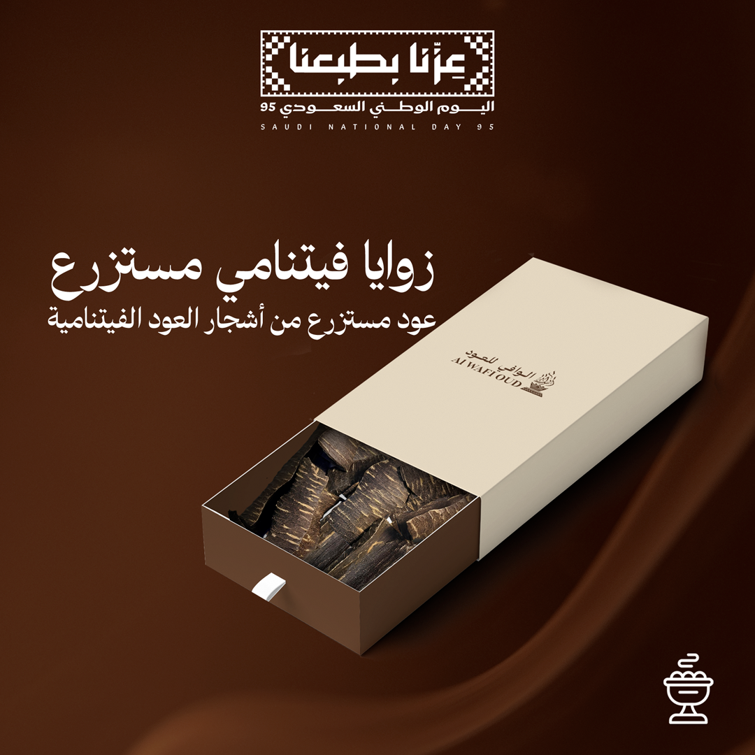 البكج الفيتنامي