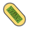POLO MOSS