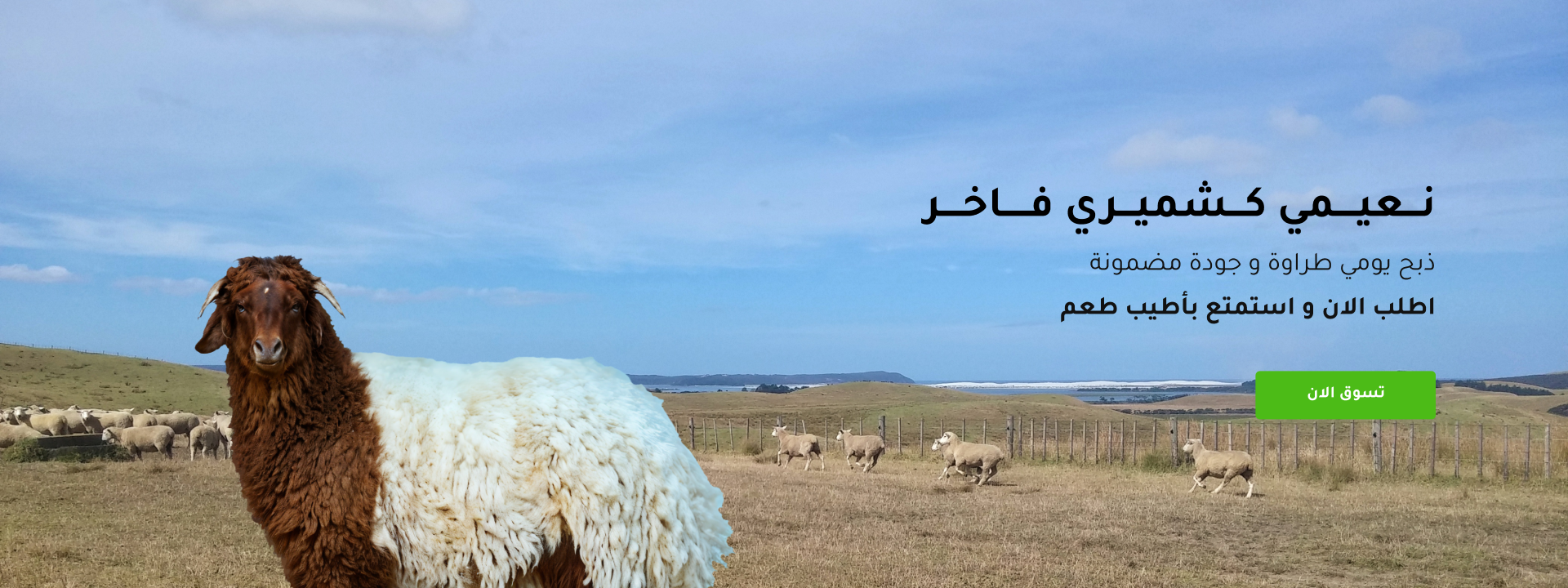 أصل اللحوم image-slider-0