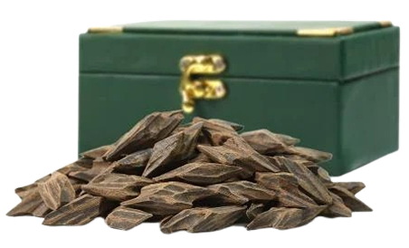 ثلاث اوقيات  كلمنتان - دقة مروكي - تايقر