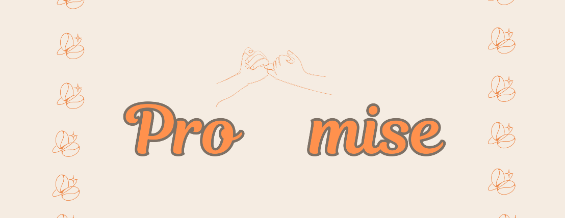 Promis image-slider-0
