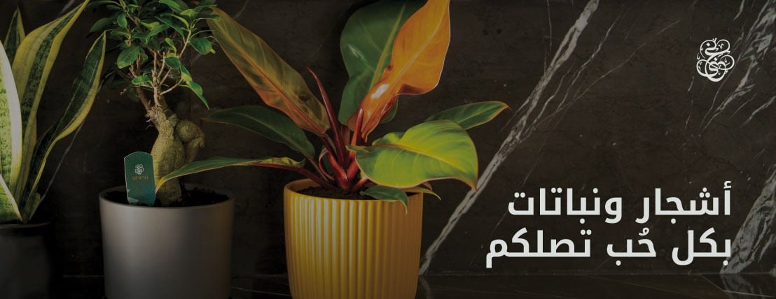 متجر غِنى image-slider-0