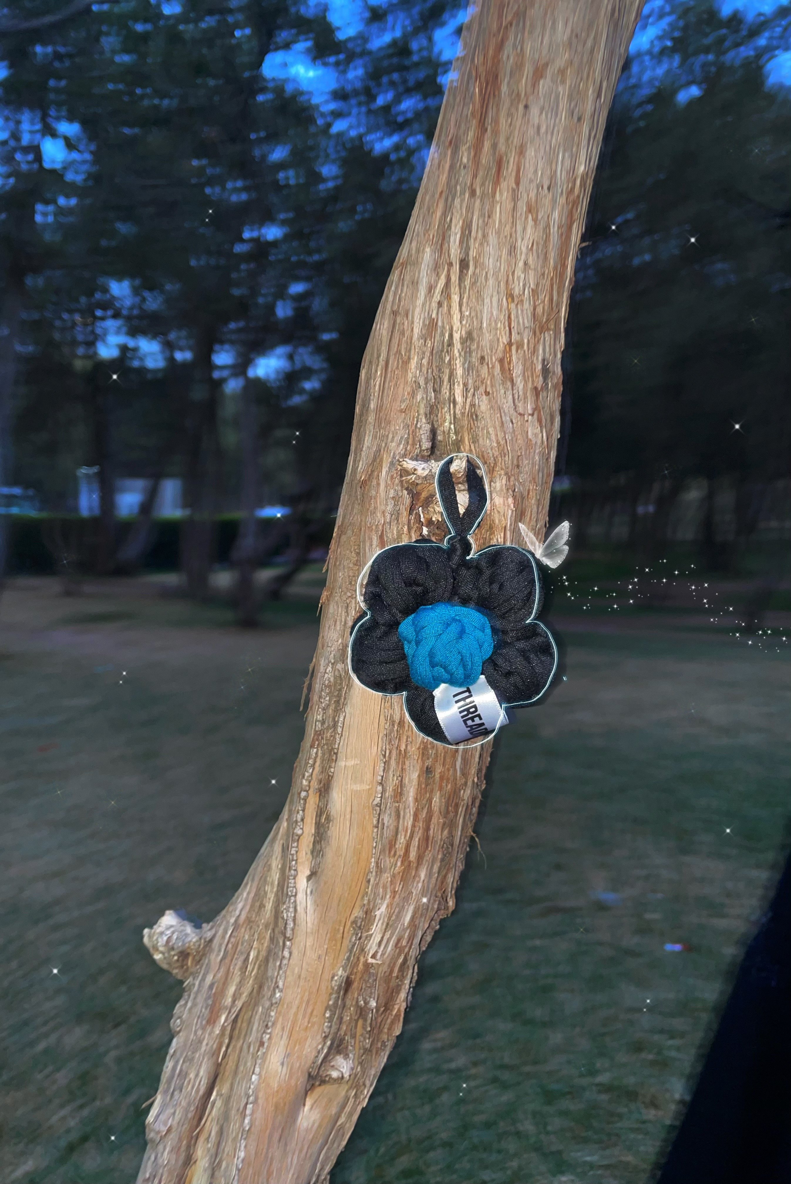 صورة البوست