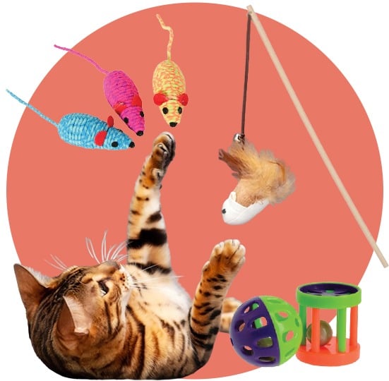 العاب القطط