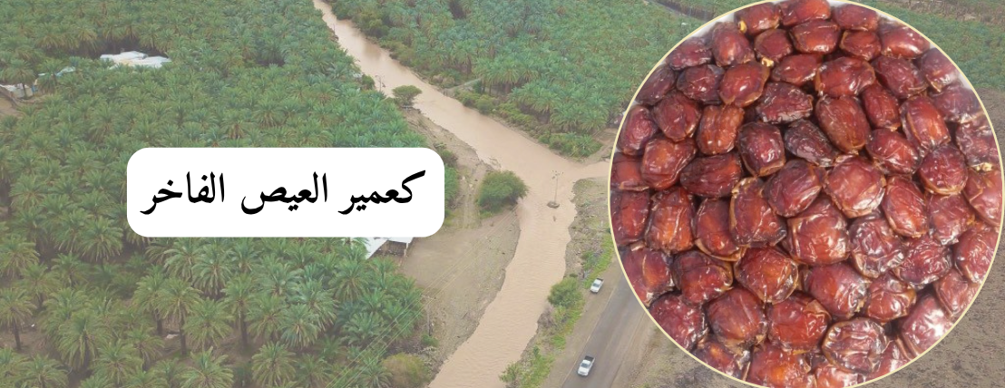 برني العيص image-slider-0