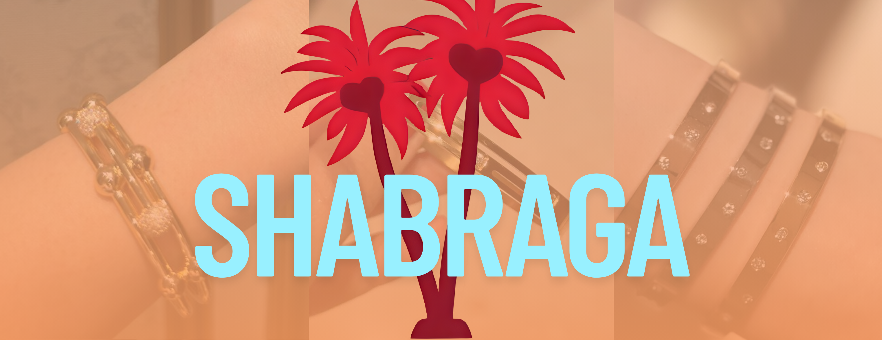 SHABRAGA image-slider-4