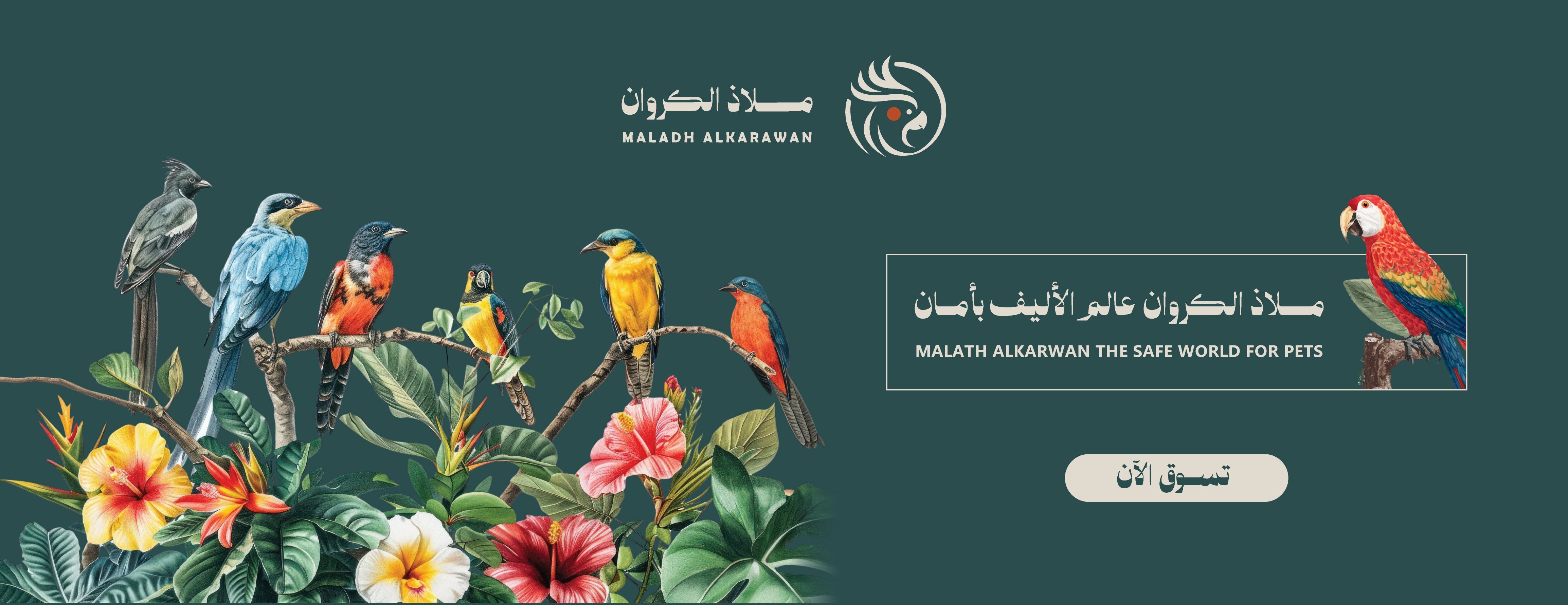 ملاذ الكروان image-slider-0