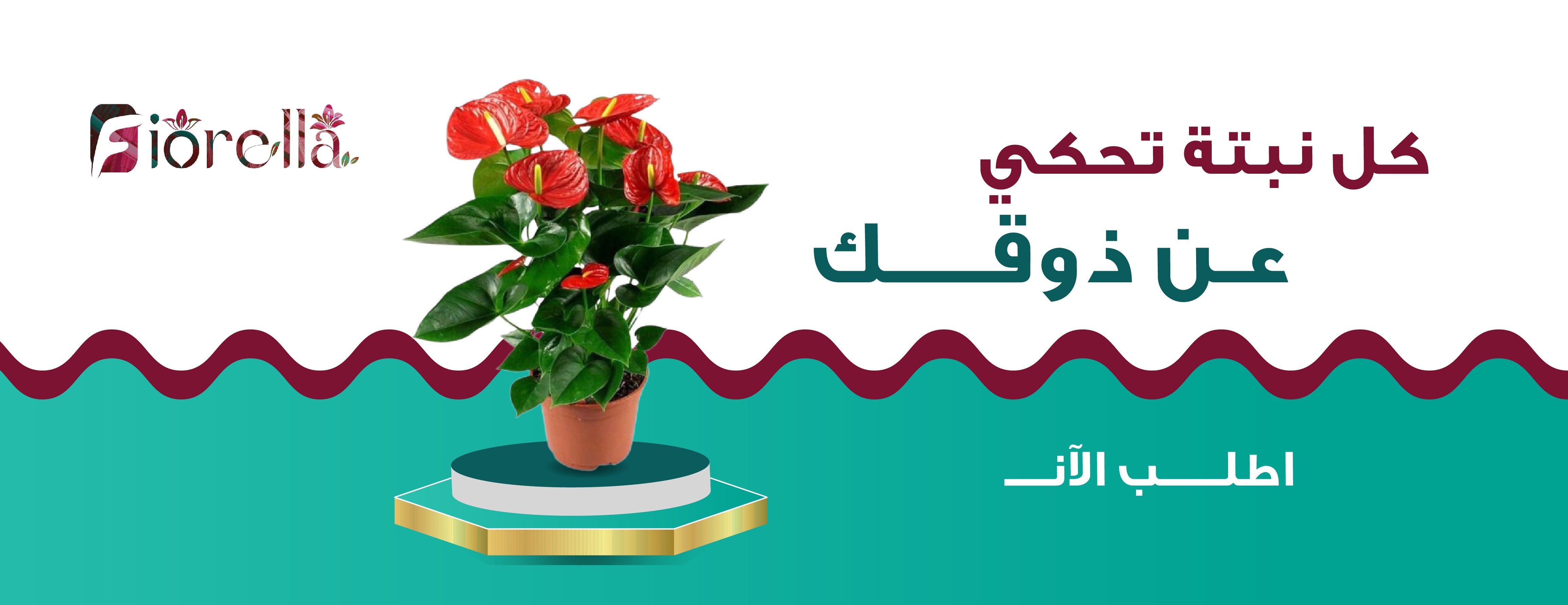 متجر فيوريلا image-slider-2