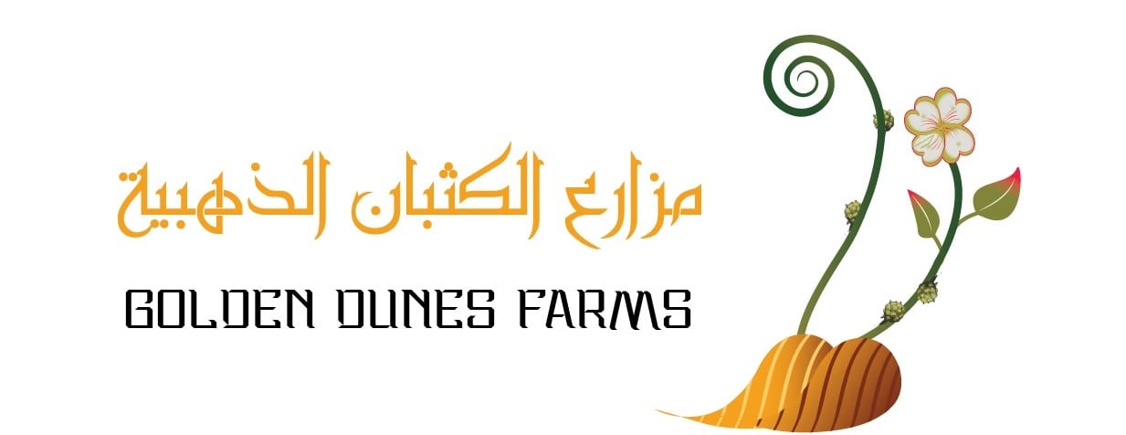 مزارع الكثبان الذهبية image-slider-0