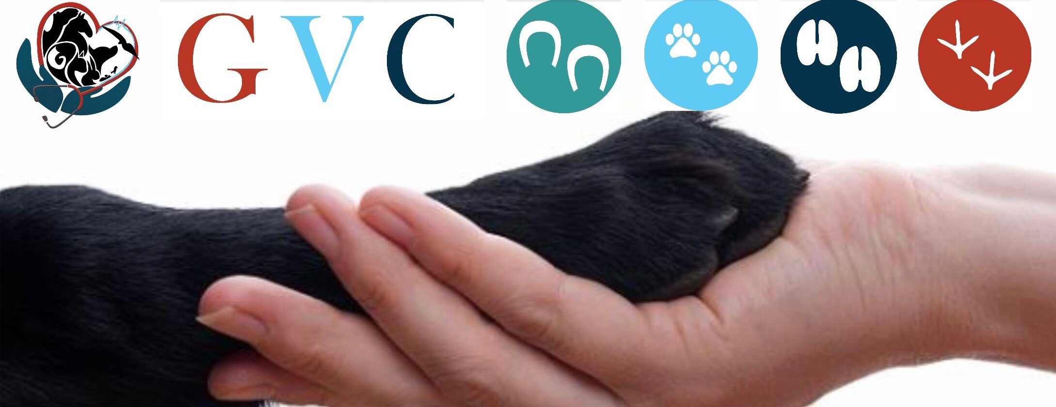 GVC مركز غران البيطري image-slider-0