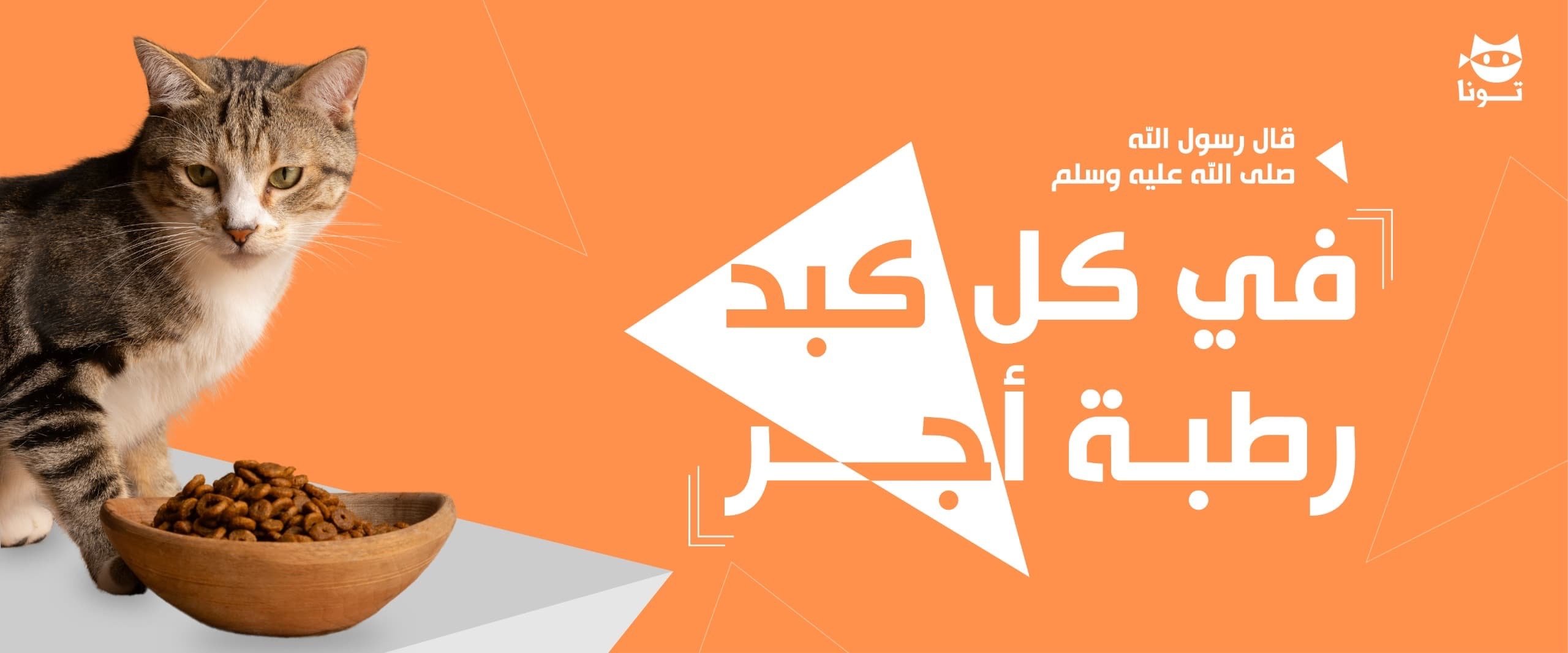 fixed banner