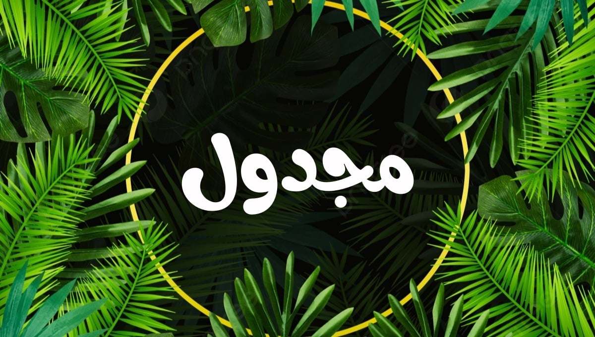 category banner