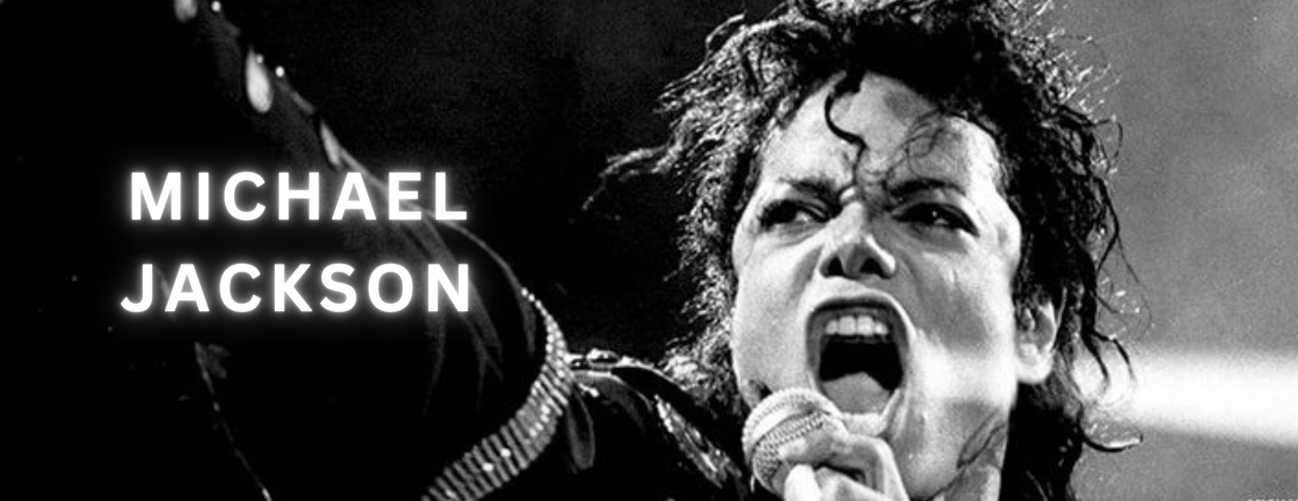 REX Music Store image-slider-4