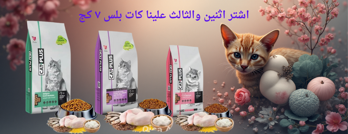 كات بارك image-slider-3