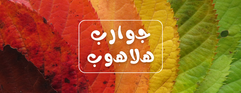 بلقيس image-slider-2