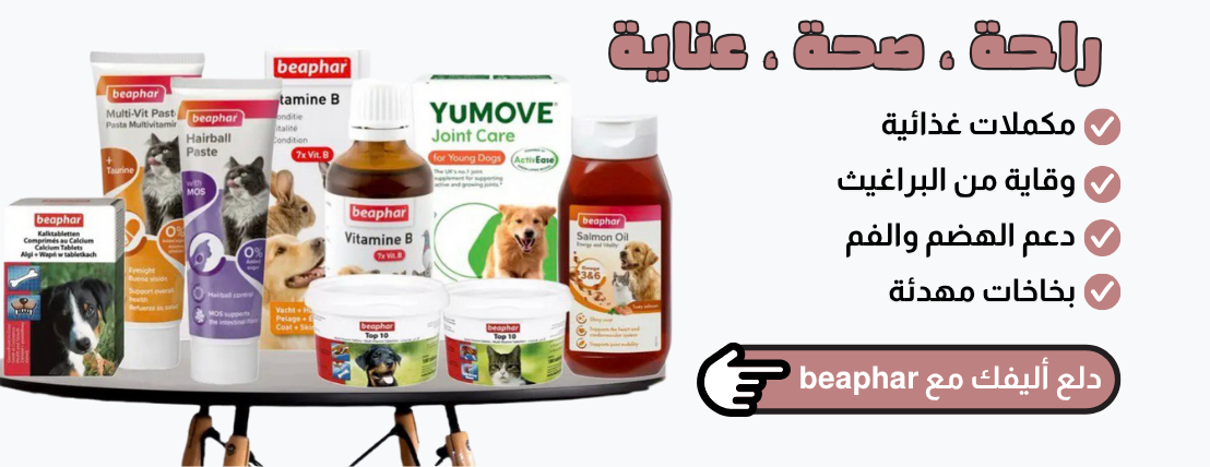 Yazeed zoo image-slider-0