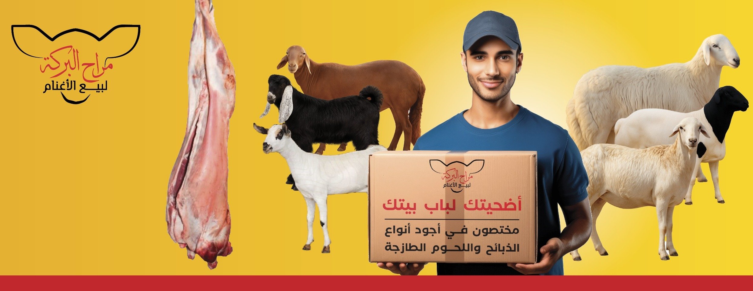 مراح البركة لبيع الأغنام image-slider-1